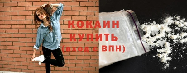 молекула духа Шарыпово