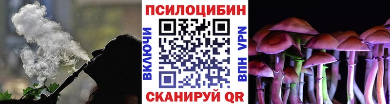 Псилоцибиновые грибы Psilocybine cubensis  кракен как войти  Хабаровск 