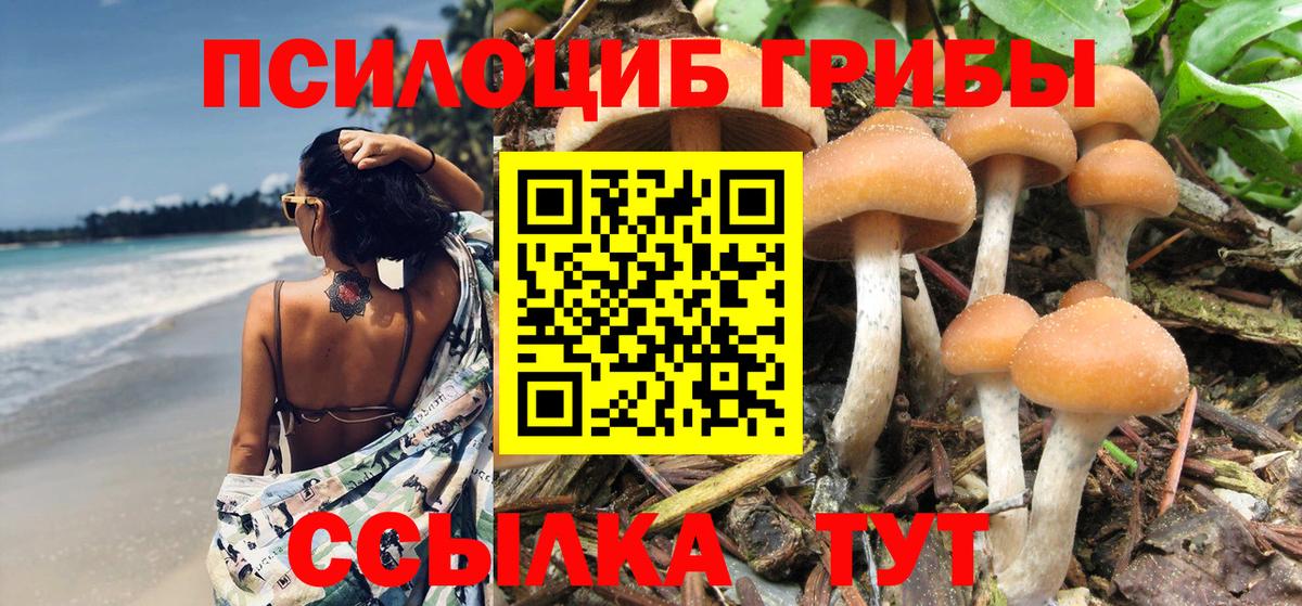 Псилоцибиновые грибы GOLDEN TEACHER Хабаровск