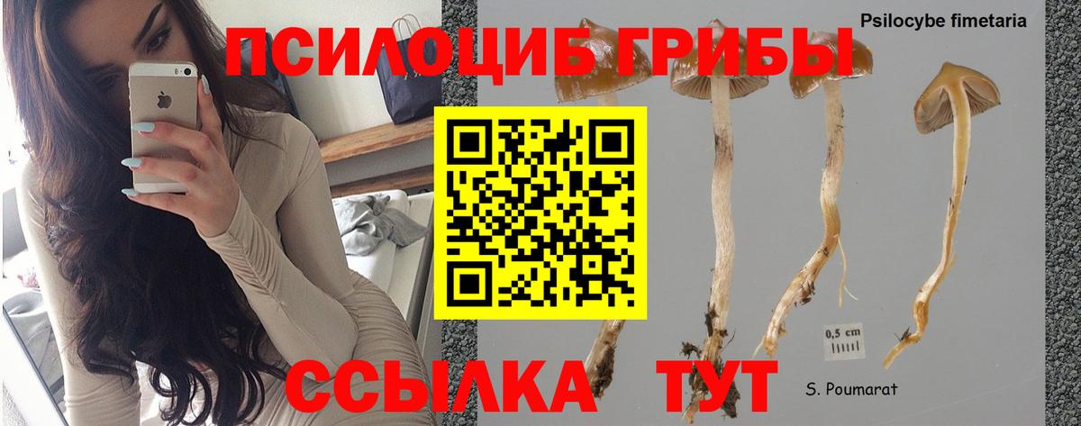 Псилоцибиновые грибы Magic Shrooms  Вход с VPN  Хабаровск  Галлюциногенные грибы MAGIC MUSHROOMS 